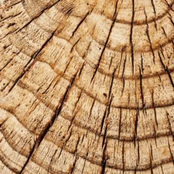 Indoor/Outdoor Faux Concrete Stump Accent Table Brown - Threshold™ Designed With Studio McGee -Every Space Store GUEST 03deabfd 2b62 4725 94b4 09a321ea8678