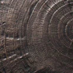 Grantsville Drum Accent Table Black - Threshold™ Designed With Studio McGee -Every Space Store GUEST 2a48e59f 9a1e 4d95 a641 6710dbd36ebe